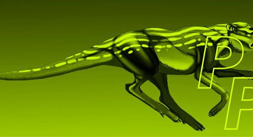 icanswim | koncert | festiwal prapremier