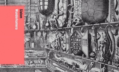 SLALOM: WEBER/TYCIŃSKI/ZEMLER //04.11.2015// KLUB DRAGON