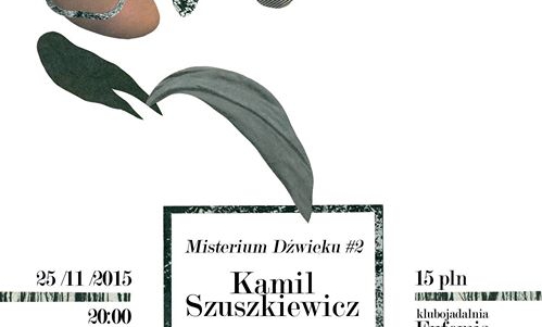 Misterium Dźwięku #2 // Kamil Szuszkiewicz / PAELI***ZUN