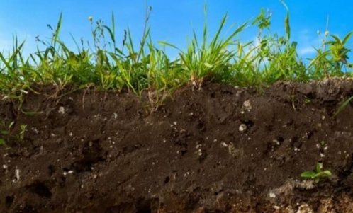 DZIEŃ GLEBY Z IHAMANEM