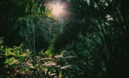 WICKED GIANT // 04.03 - koncert // Klubokawiarnia Towarzyska