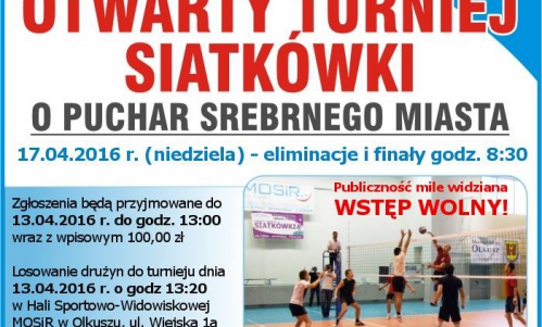 Otwarty Turniej Siatkówki o Puchar Srebrnego Miasta