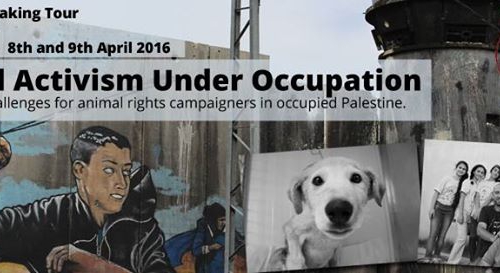 Aktywizm w Palestynie - Spotkanie z Palestinian Animal League - Warszawa