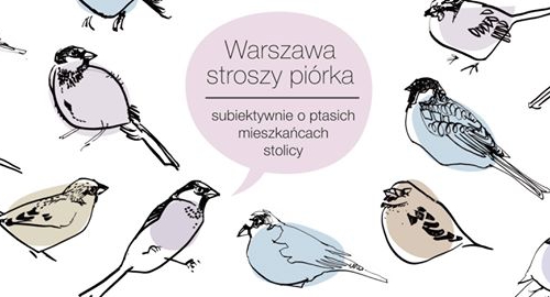 Ornito-elyta inteligencka. Ptaki krukowate Warszawy