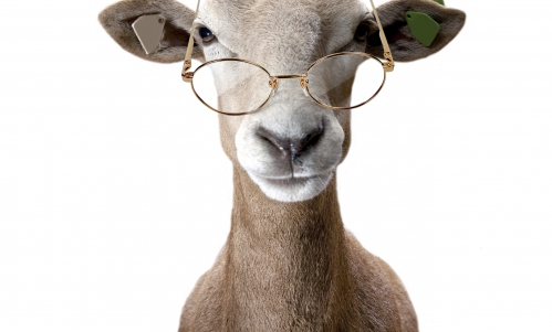 [26 IV] Mitologia rozwoju osobistego. Rafał Żak w Coaching Warszawa