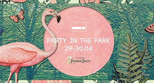 Party in the Park!