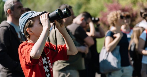 Ptasio i poWoli V - Cmentarz Powązkowski | Spacer z cyklu "Warszawa stroszy piórka"