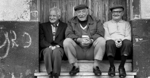 Niewiński/Dworak/Płużek Trio