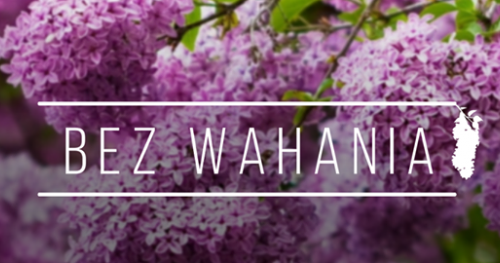 Gramy impro - Bez Wahania