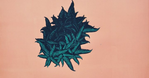 Wyspy/Rośliny - wystawa prac Anny Stefańskiej // 18/08 - 03/09 // Klubokawiarnia Towarzyska