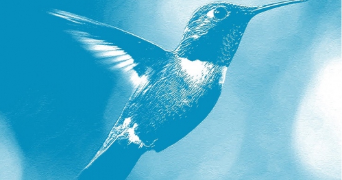 Dusza się rusza - festiwal pozytywny