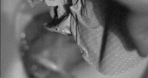 Tupot Poetycki #9 / SLAM + instalacja słowno - muzyczna