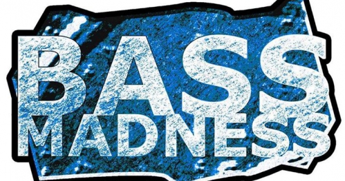 1.02. Bass Madness