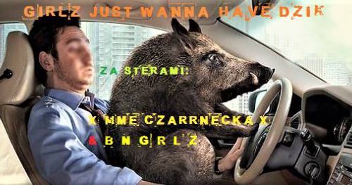 Girlz just wanna have DZiK! // Impreza