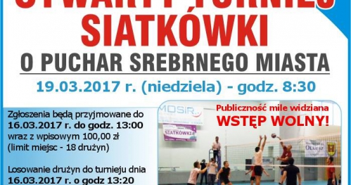 Otwarty Turniej Siatkówki o Puchar Srebrnego Miasta