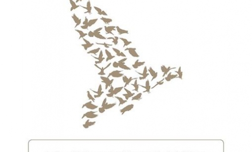 Skrzydlaty Archipelag Foroyar