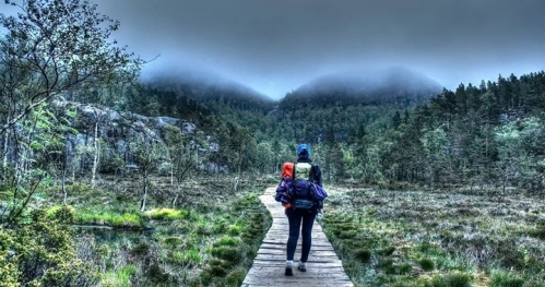 Jak kupić tani bilet lotniczy?