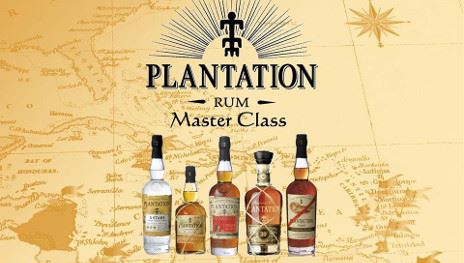 Fakultatywne(bezpłatne)zajęcia dla Absolwentów: Plantation World