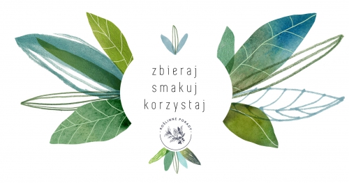 Jak nie zabić kaktusa? Czyli o pielęgnacji roślin | Wrocław