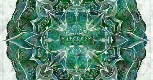 Napoleon @ Firlej