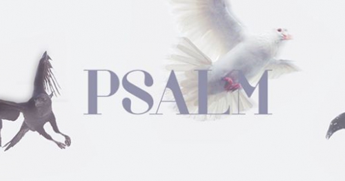 PSALM - spektakl (Premiera)
