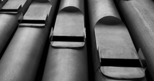 Karnawałowy Recital Organowy