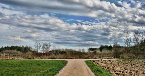 Wyzwania demokracji: Praworządność na rozdrożu