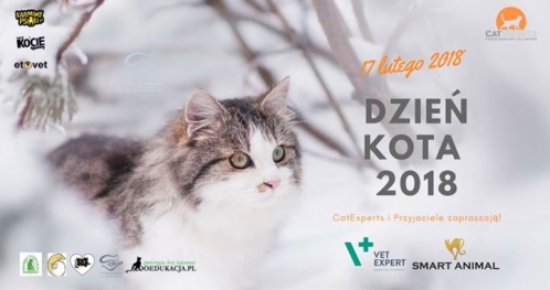 Dzień Kota 2018