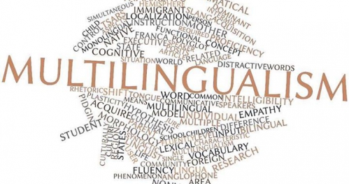 Beyond linguistic celebration