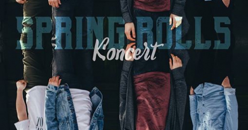 Spring Rolls na żywo w Studio Dźwięku - Radio Sygnały