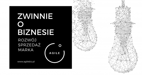 Zwinnie o biznesie: rozwój, sprzedaż, marka. Praktycznie o rozwoju firmy