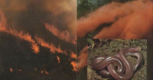 Gwinciński / Sołtysiak & Duet Cziwononok + afterparty