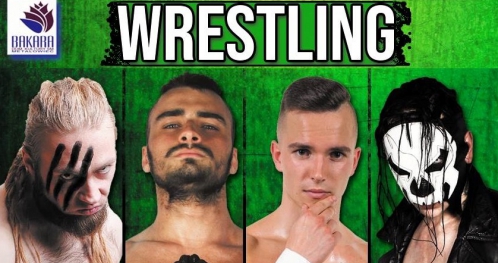 Wrestling MZW Project 1: New Beginning