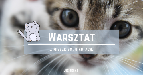 Warszaty behawioralne z Mieszkiem Eichelbergerem