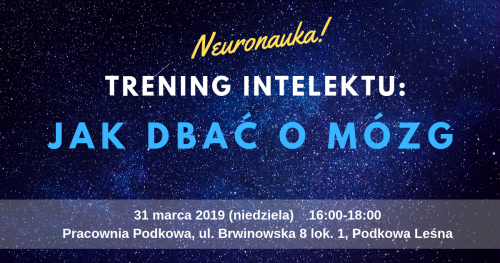 NEURONAUKA: Trening intelektu - jak dbać o mózg