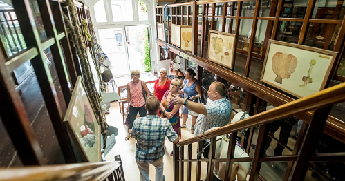 Muzeum Medycyny Sądowej 20.08 przeniesione z 09.08 I pracownicy