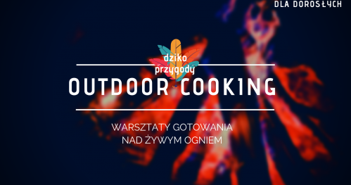 Outdoor cooking // warsztaty gotowania nad żywym ogniem