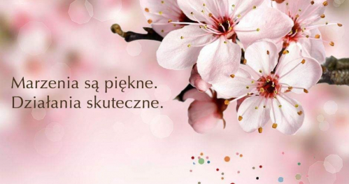 Jak spełniać marzenia ? MAPA MARZEŃ metodą Points Of You !
