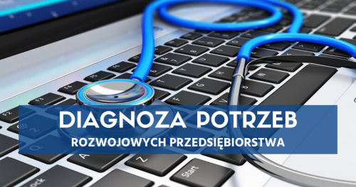 DIAGNOZA POTRZEB ROZWOJOWYCH PRZEDSIĘBIORSTWA na potrzeby projektu AKADEMIA MENADŻERA MŚP - MIKRO FIRMA
