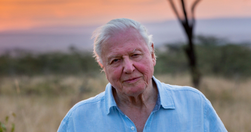Spotkanie z Sir Davidem Attenborough