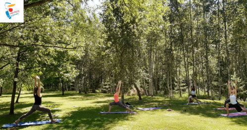 Joga w Parku Krasińskich - bezpłatne zajęcia