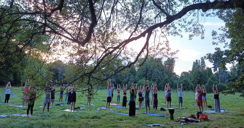 Joga w Parku Kultury w Powsinie