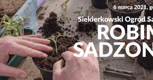 Siekierkowski Ogród Sąsiedzki: ROBIMY SADZONKI