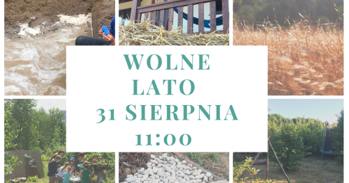Wolne lato- ostatnie wakacyjne zajęcia sensoryczne