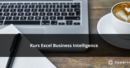 Kurs Excel Business Intelligence (PowerPivot, Power Query, Power Map, Power View, Power BI)