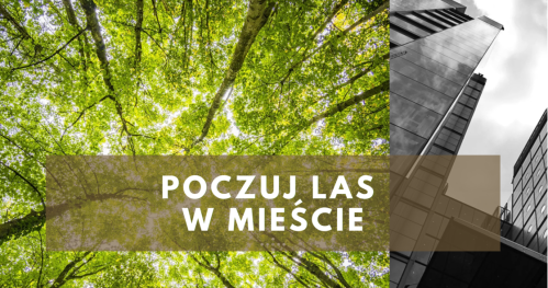 POCZUJ LAS W MIEŚCIE
