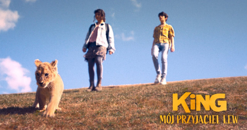 Filmy z Klimatem - King: Mój przyjaciel lew