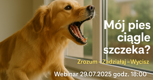 Mój pies ciągle szczeka. Jak zrozumieć i modyfikować nadmierne szczekanie?