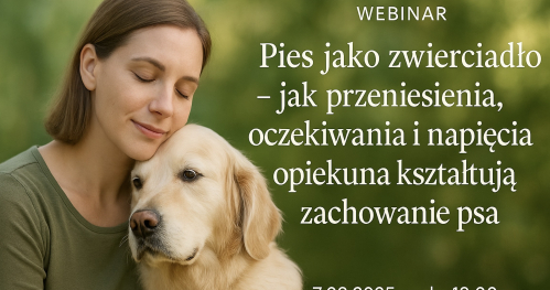Pies jako zwierciadło - jak przeniesienia, oczekiwania i napięcia opiekuna kształtują zachowanie psa