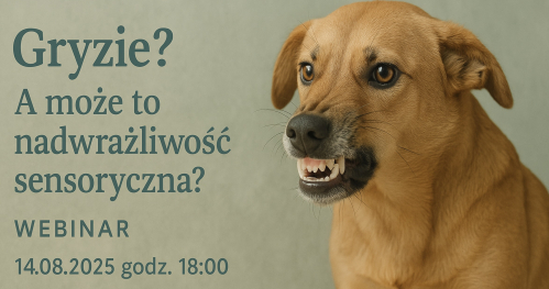 Gryzie? A może to nadwrażliwość sensoryczna.